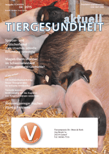 Ausgabe 04/2015 - Tierarztpraxis Gettorf