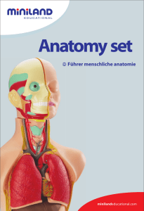 Führer menschliche anatomie