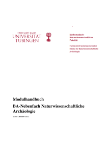 Modulhandbuch Bachelor