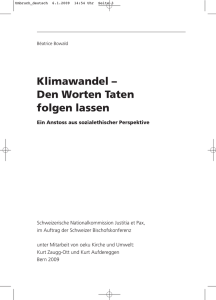 Grundlagenpapier "Klimawandel - Den Worten Taten folgen lassen"