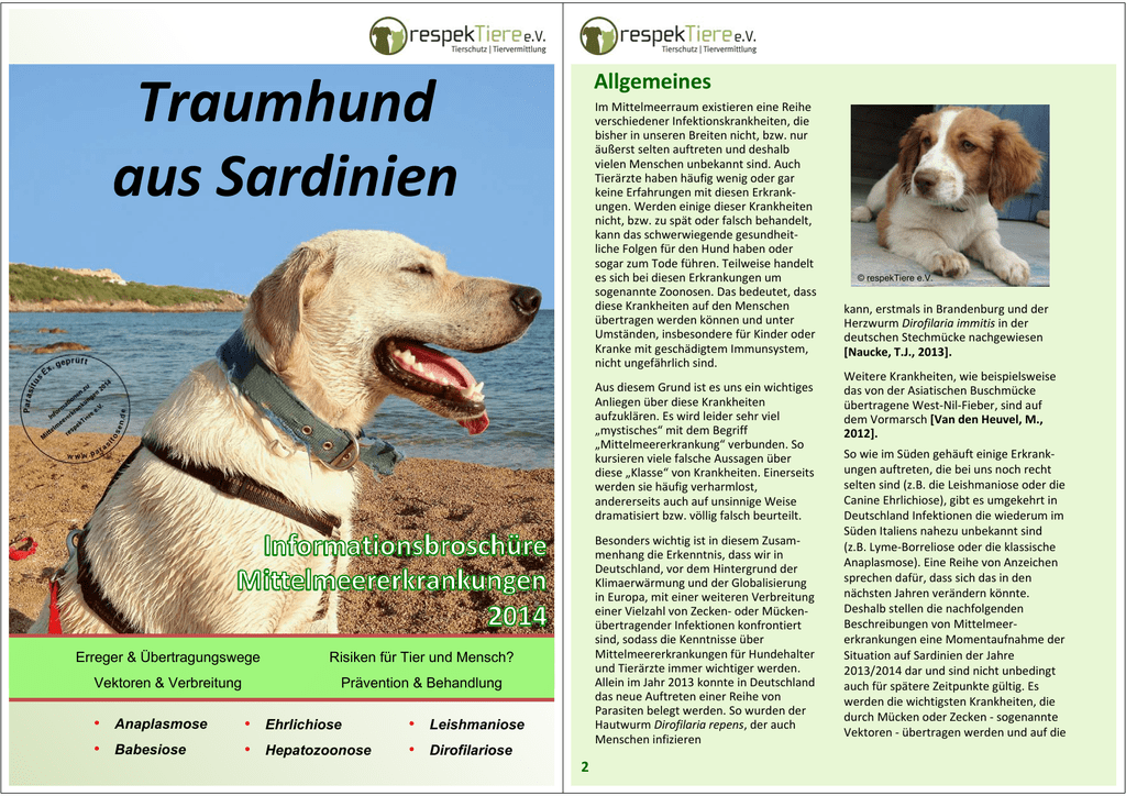 Hepatozoonose Hund Esccap Anaplasmose Beim Hund Ursachen Symptome