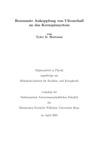 Resonante Ankopplung von Ultraschall an das Kernspinsystem