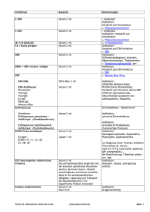 Verfahren mit Anfangsbuchstaben e als pdf anzeigen/herunterladen