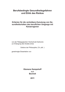 Berufsbedingte Gesundheitsgefahren und Ethik des Risikos