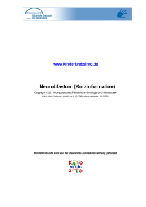 Neuroblastom (Kurzinformation)