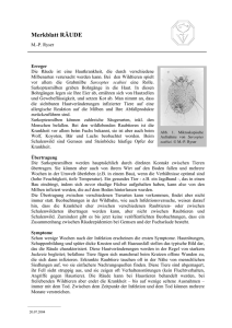 Merkblatt Räude (114 kB, PDF)