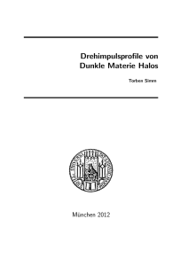 Drehimpulsprofile von Dunkle Materie Halos