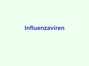 Influenzaviren