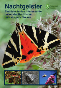 Nachtgeister - Naturpark Nassau