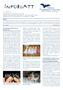 Infoblatt 12 - Verein Fledermausschutz