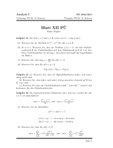 Blatt XII P¨U