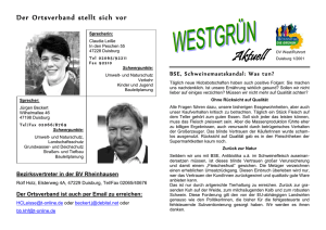 Westgrün 1/2001 - GRÜNE Duisburg