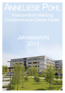 Jahresbericht 2013