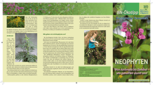 neophyten - Bund Naturschutz Traunstein