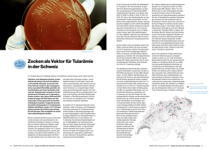 Zecken als Vektor für Tularämie in der Schweiz