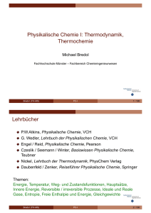 Vorlesung (pdf, aktualisiert 14-02-17)