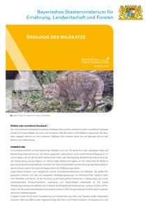 Ökologie der Wildkatze - Wildtierportal Bayern