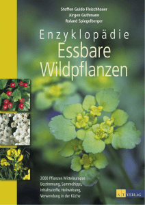 V:\Cover AT\Web\Enzyklopaedie_Essbare_Wildpflanzen