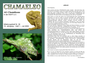 Chamaeleo 38 - Website der AG Chamäleons