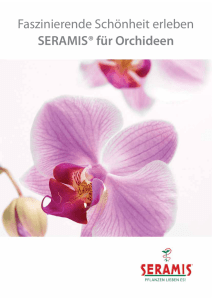 Seramis für Orchideen