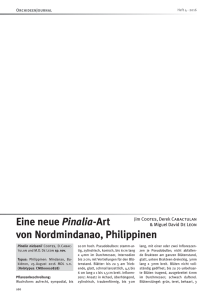 Eine neue Pinalia-Art von Nordmindanao