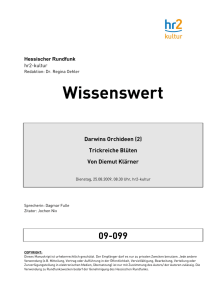 Wissenswert