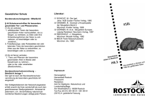 Faltblatt Igel (application/pdf/pdf 112.3 KB)
