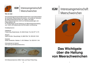 Meerschweincheninfos IGM Broschuere