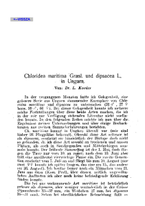 Kovács Lajos: A Chloridea maritima Grasl, és dipsacea L