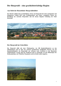 Der Burgwald - Verein für naturnahe Erholung eV