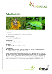 11-1-6 Steckbrief Schachbrettfalter - bund