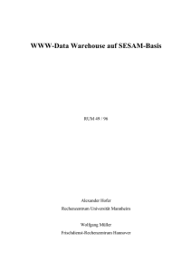 WWW-Data Warehouse auf SESAM-Basis