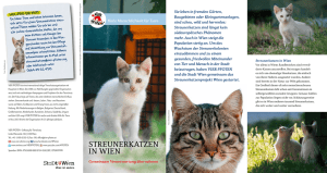 Streunerkatzen in Wien