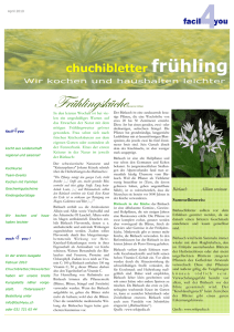 Newsletter - Facil4you