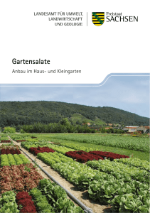 Gartensalate - Publikationen