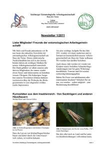 Newsletter 1/2011