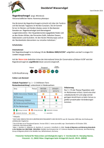 Regenbrachvogel - Friesischer Verband für Naturschutz und
