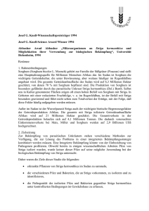 Deutsche Zusammenfassung als Ansichts-PDF