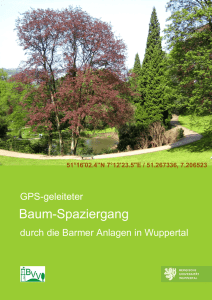 Baum-Spaziergang - Botanik - Bergische Universität Wuppertal