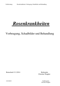 Rosenkrankheiten