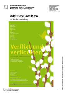 Verflixt und Verflochten - von Weiden und