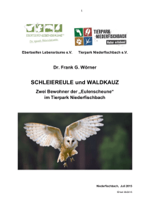 SCHLEIEREULE und WALDKAUZ - Tierpark Niederfischbach