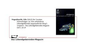 Der Yucatan-Schwertträger - Lebendgebärende Aquarienfische