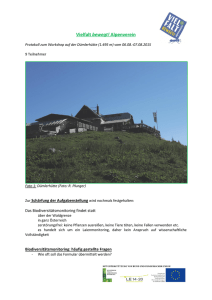 Workshop-Protokoll Dümlerhütte 2015