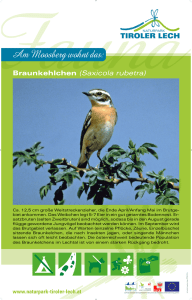 Infotafel Braunkehlchen (PDF Download)