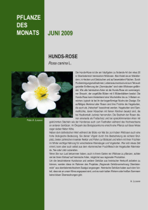 HunDS-ROSe - Oberösterreichisches Landesmuseum