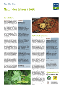 Natur des Jahres 2015 - Schutzgemeinschaft Deutscher Wald
