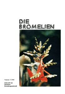 Nummer 3/1980 Zeitschrift der Deutschen Bromeliengesellschaft