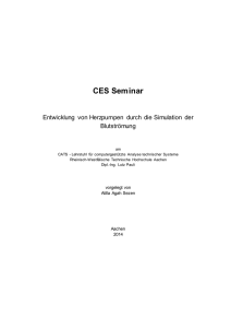 CES Seminar - MathCCES