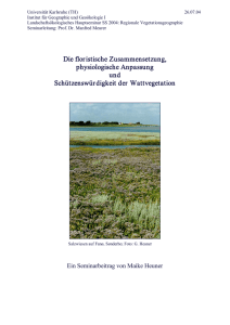 Seminararbeit - Maike Heuner